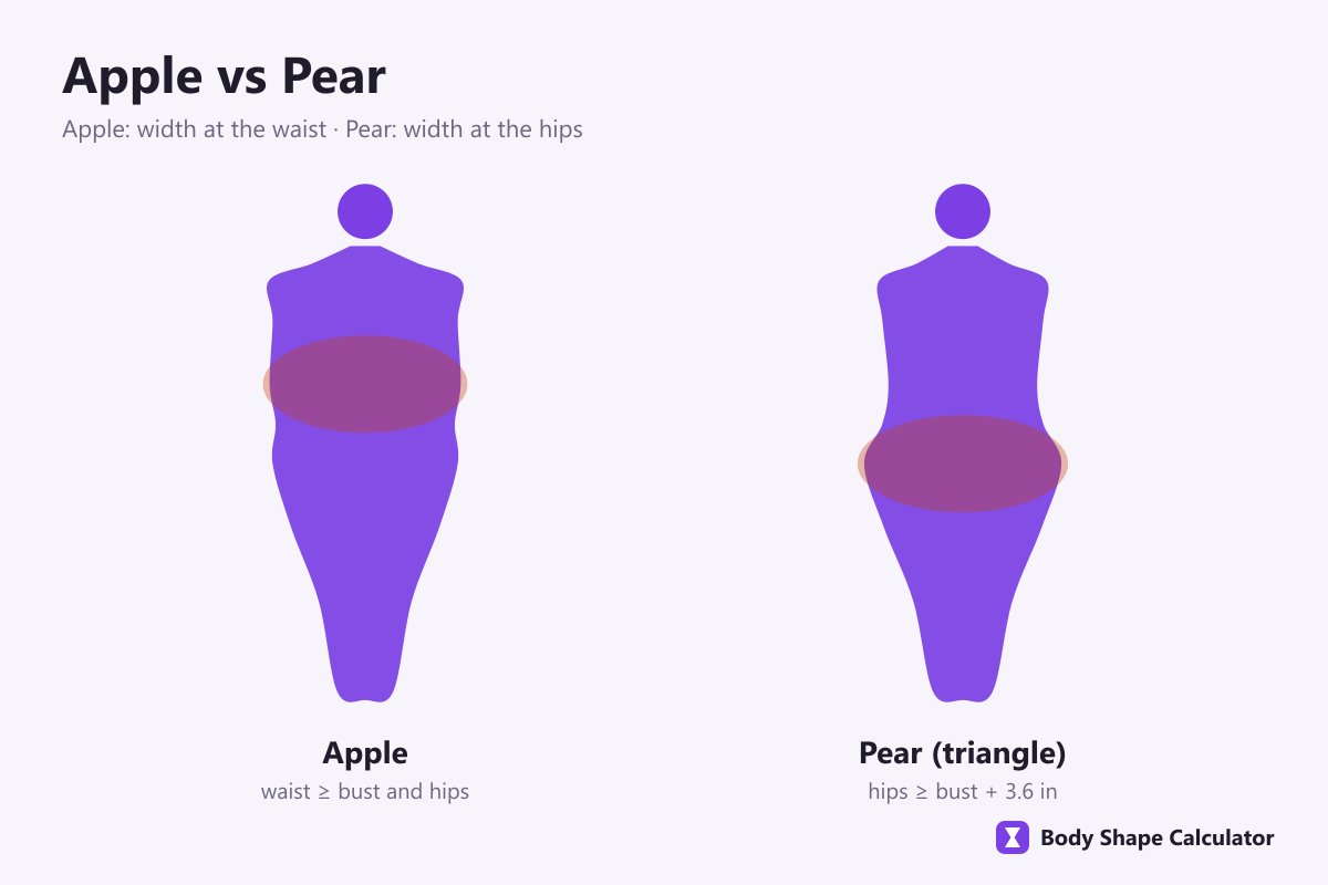 apple and pear body shapes compared