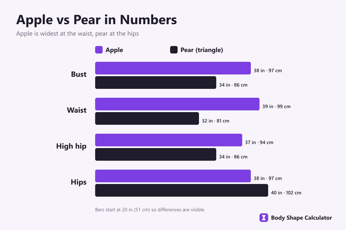 apple and pear measurements compared in inches and cm