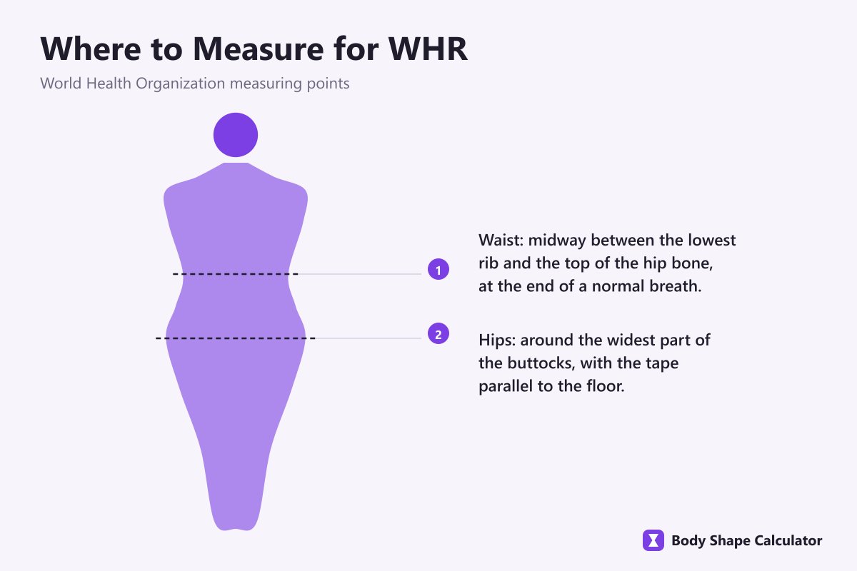 waist and hip measuring points for waist-to-hip ratio